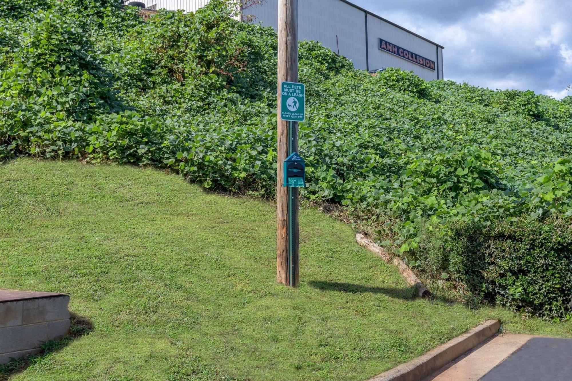 Motel 6 Dawsonville Ga North Ga Premium Outlets Zewnętrze zdjęcie